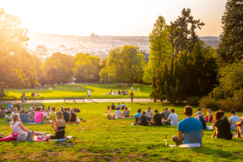 Schermafbeelding 2021-07-14 om 12.08.54-min